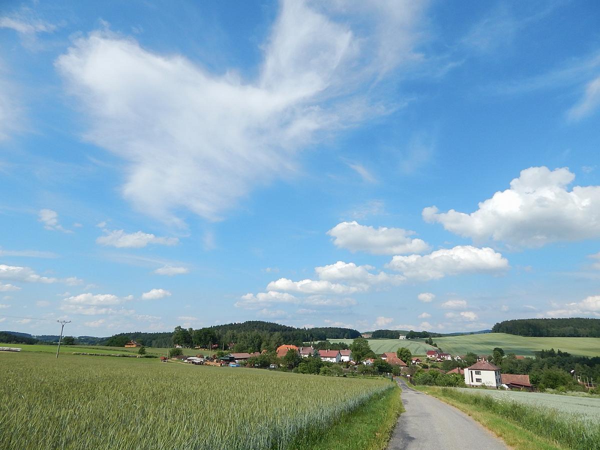 Zajíčkov